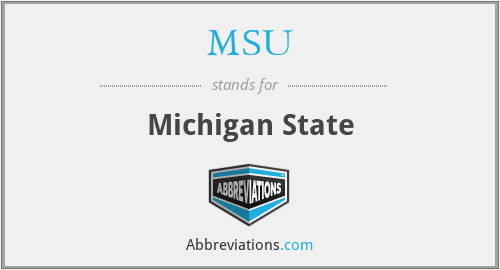 What is the abbreviation for michigan state?